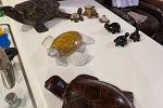 Sale Photo Thumbnail #13