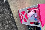Sale Photo Thumbnail #13