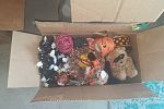 Sale Photo Thumbnail #3