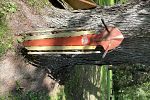 Sale Photo Thumbnail #15