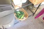 Sale Photo Thumbnail #20