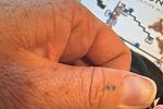 Sale Photo Thumbnail #33