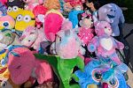 Sale Photo Thumbnail #14