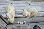 Sale Photo Thumbnail #7