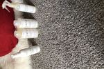 Sale Photo Thumbnail #8