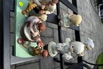 Sale Photo Thumbnail #9