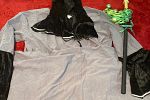 Sale Photo Thumbnail #12