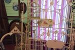 Sale Photo Thumbnail #54
