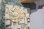Sale Photo Thumbnail #32