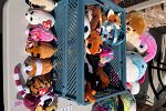 Sale Photo Thumbnail #12