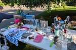 Sale Photo Thumbnail #9