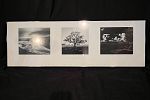 Sale Photo Thumbnail #27