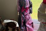 Sale Photo Thumbnail #14