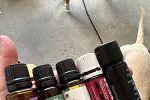 Sale Photo Thumbnail #23