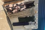 Sale Photo Thumbnail #1