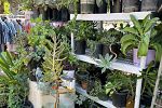 Sale Photo Thumbnail #13