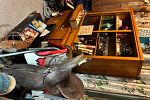 Sale Photo Thumbnail #4