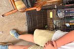 Sale Photo Thumbnail #20