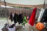 Sale Photo Thumbnail #2