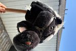 Sale Photo Thumbnail #37