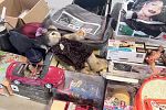 Sale Photo Thumbnail #14