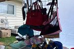 Sale Photo Thumbnail #19