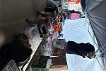 Sale Photo Thumbnail #17