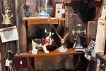 Sale Photo Thumbnail #28