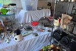 Sale Photo Thumbnail #10
