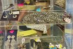Sale Photo Thumbnail #38