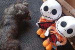 Sale Photo Thumbnail #13