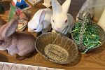 Sale Photo Thumbnail #29