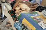 Sale Photo Thumbnail #4