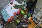 Sale Photo Thumbnail #26