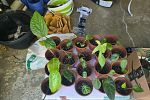 Sale Photo Thumbnail #25