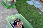 Sale Photo Thumbnail #7