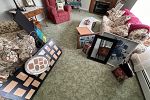 Sale Photo Thumbnail #9