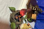 Sale Photo Thumbnail #15