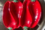 Sale Photo Thumbnail #14