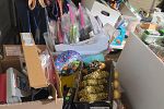 Sale Photo Thumbnail #17
