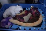Sale Photo Thumbnail #19