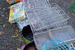 Sale Photo Thumbnail #15