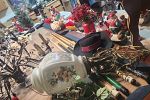 Sale Photo Thumbnail #15