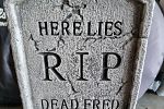 Sale Photo Thumbnail #4