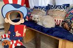 Sale Photo Thumbnail #37