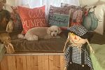Sale Photo Thumbnail #39