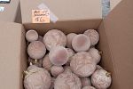 Sale Photo Thumbnail #46