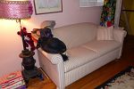 Sale Photo Thumbnail #175