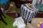 Sale Photo Thumbnail #129