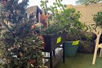 Sale Photo Thumbnail #35